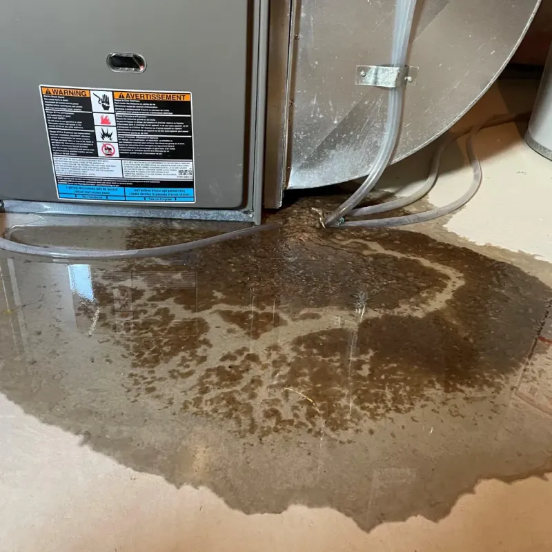 Appliance Leak Cleanup in Jackson County, CO