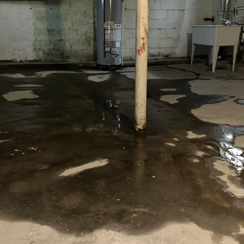 Emergency Water Extraction And Removal in Jackson County, CO